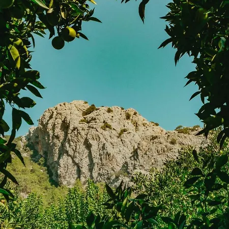 Sheriff, Olympos