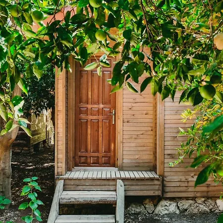 Homestay Sheriff, Olympos Kumluca